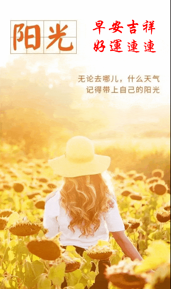 592_1000 竖版 竖屏