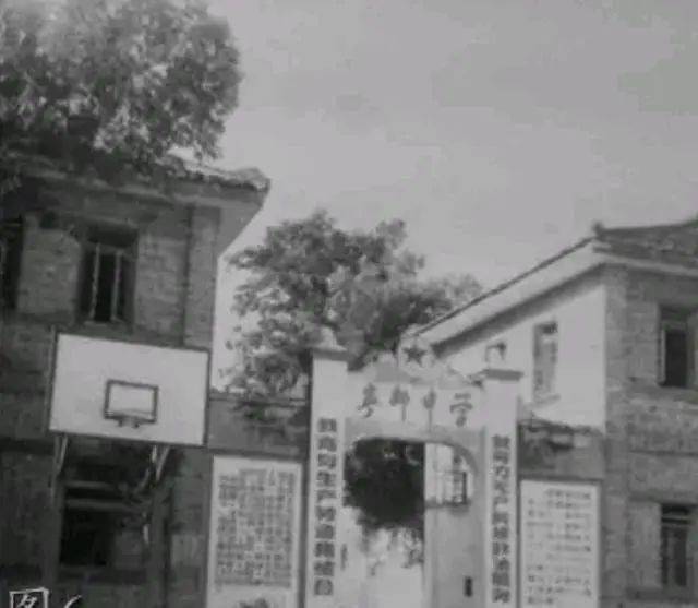 宁都县多少人口_宁都县地图