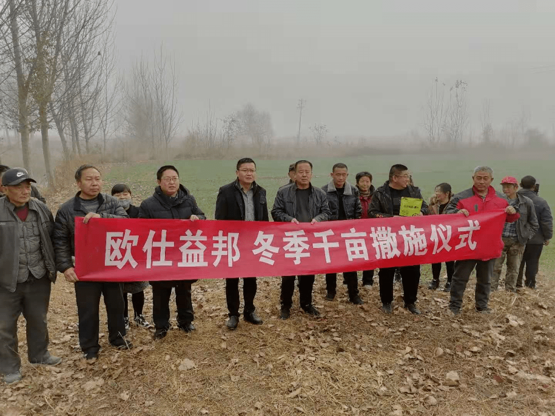 直击现场千亩小麦撒施欧仕益邦铺就科学种田之路