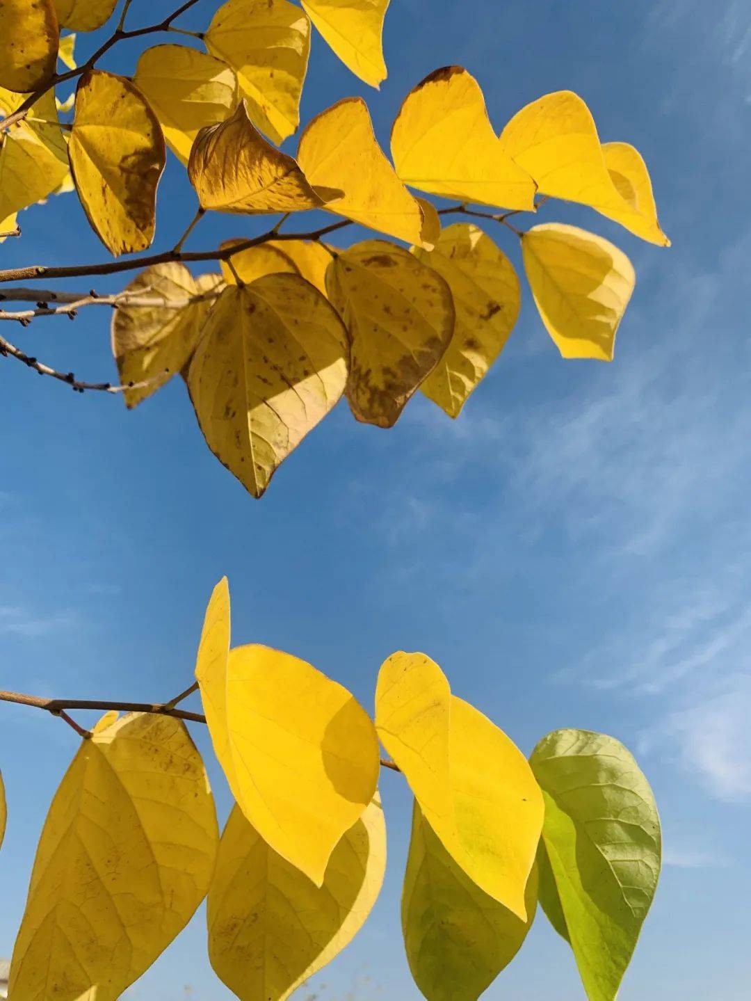 GDP少公布一些知乎(2)