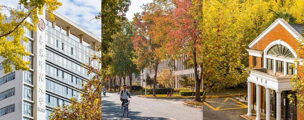 2020微信公众号关注_来啦!2020年11月湖南教育政务微信排行榜