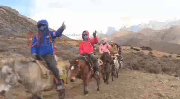 马帮 民居接待,旅游业让贡嘎山下的村民鼓起了腰包
