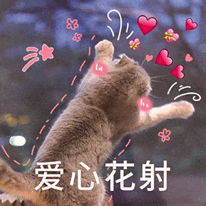 可爱撩人表情包:你说,你在外面是不是有别的猫了?