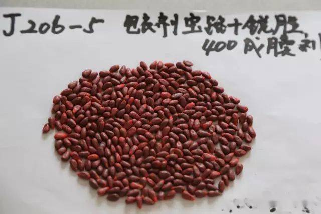 怎么选购棉花 9804c3b73ade4f23ab749e6237894ea0.jpeg