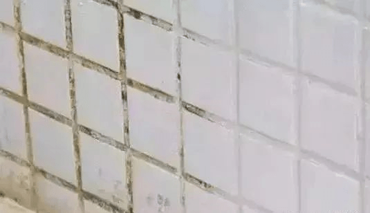 用白水泥做勾缝剂来填补瓷砖间的孔隙,但因为不防水,时间久了会发霉