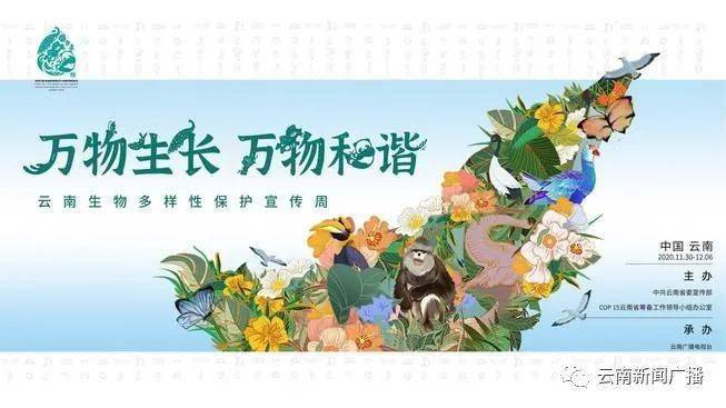 云南有多少人口2021年_云南广南县人口多少