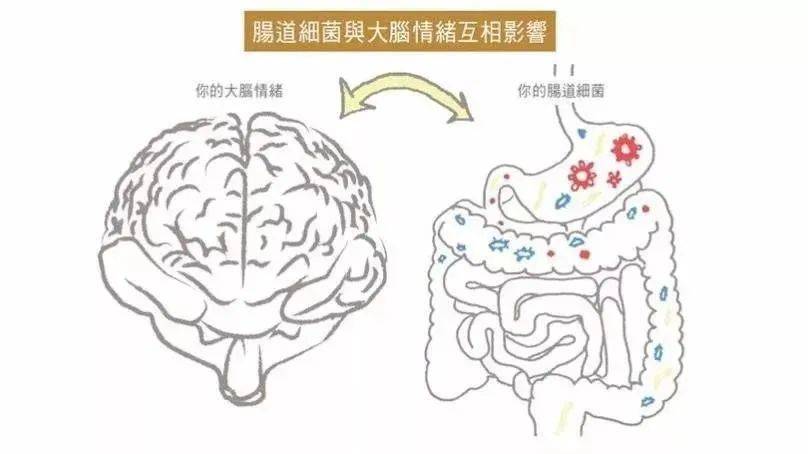 肠道|不仅会丑还容易胖？睡前这一步没做对，一觉醒来老10岁！睡不好