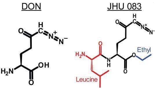 谷氨酰胺虽然具有较小的分子量,但功能多!