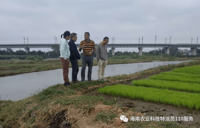 昌江县峨港村多少人口_昌江县爱尾镇汕地村(2)