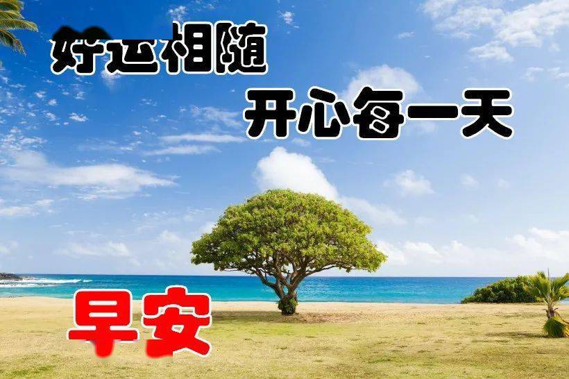 怎样才能让自己跑得快 55829d99816442be84197a336e67958d.jpeg