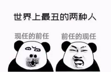 熊猫头表情包 i 世上最丑的两种人!