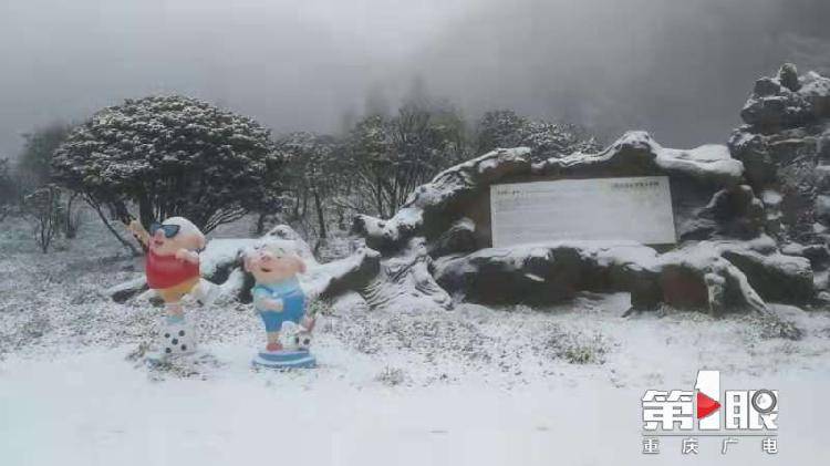 重庆多地迎降雪，哪里的雪景惊艳了你？