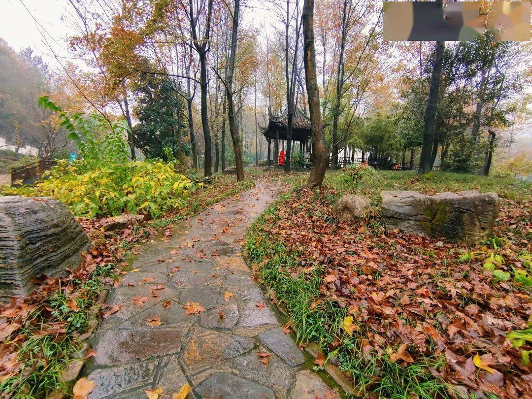 沥沥的小雨天空中轻云漂浮绵绵秋雨不紧不慢的从乌蒙蒙的天际间飘落着