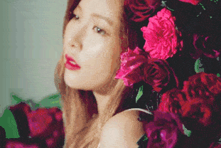 3b3c0a3a11a146a0881bbc3aa91d428c.gif