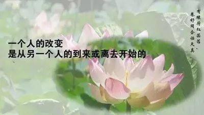 4ea4967e886c4b23a5f359d8b1cfcf36.jpeg