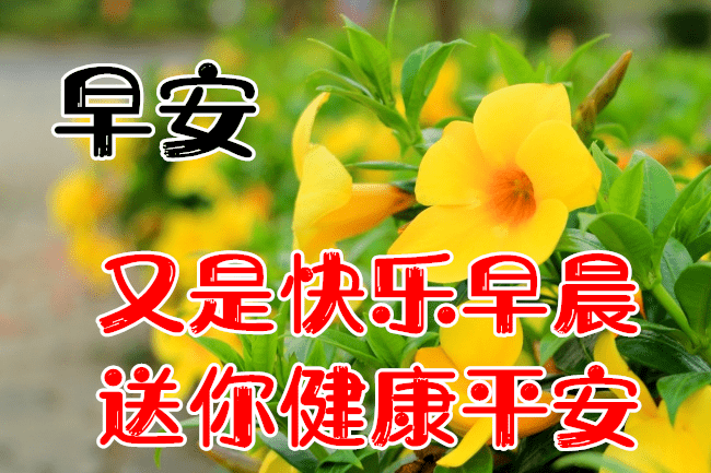 aba9ba6f045b44b19cccb2549c67791e.png