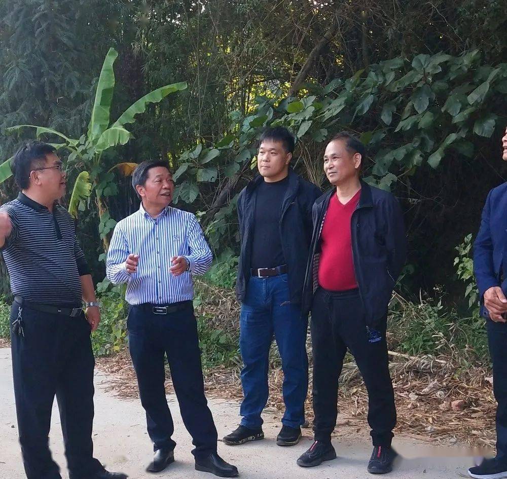 陆川县政协主席李永金带队到沙坡镇调研养殖场污染防治工作