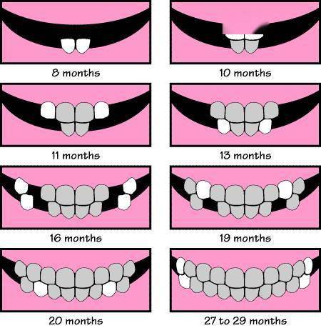 宝宝萌牙顺序,刷牙等注意事项专家版,告别"听朋友圈说!_手机搜狐网
