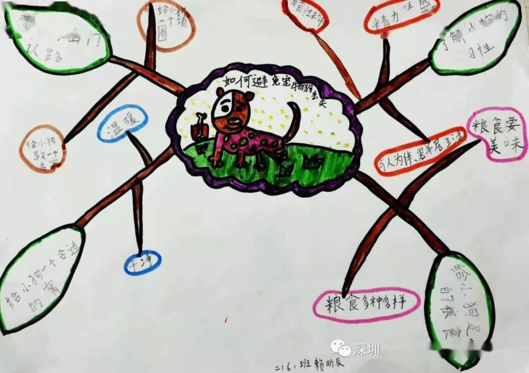 小鱼怎么画的三年级 41e15f2eb2644817a4ef10194d9d5f0b.jpeg