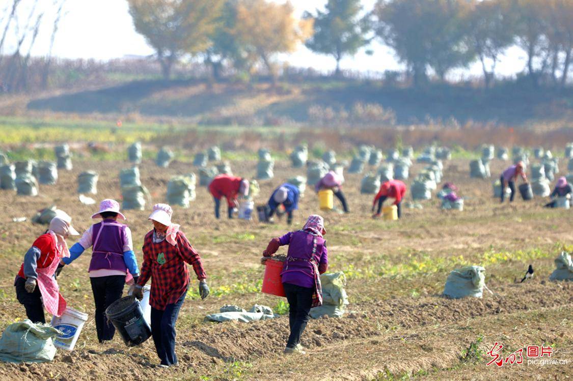 海港区2020gdp_再见2020你好2021图片(2)