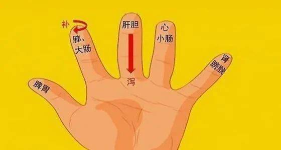 五个手指分别对应人体哪些五脏六腑和经络打造中国特色鲜明的绿色健康