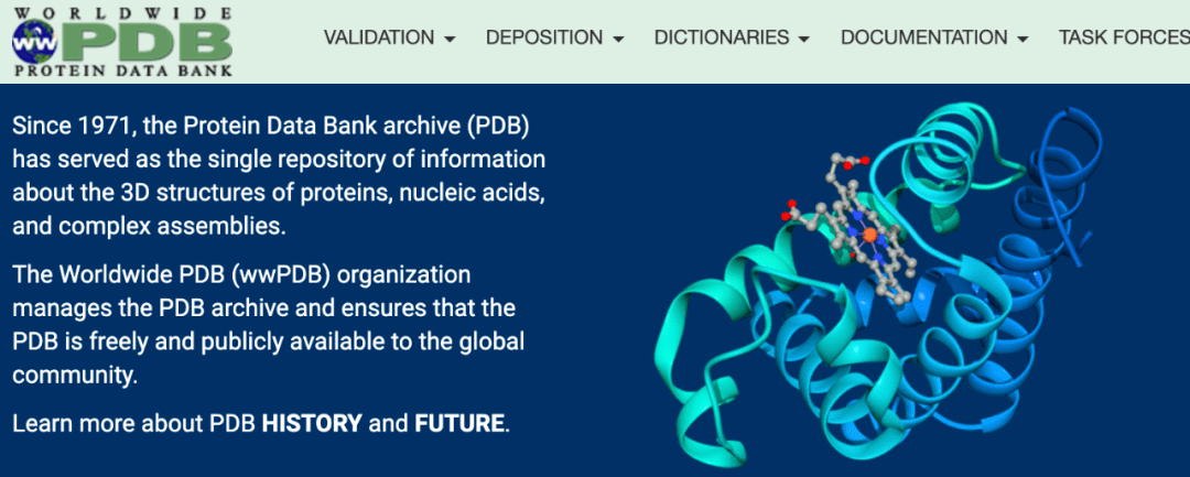 一文了解 AlphaFold 2 背后的 PDB 蛋白质结构数据集_wwPDB