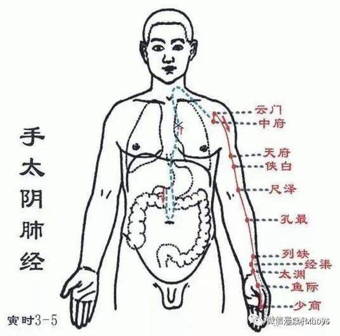 找准12经络易堵穴疏通经络不再难