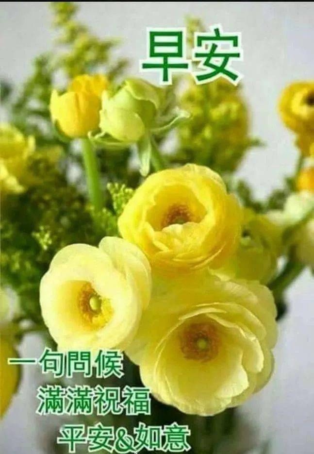 早上好问候美图,早安问候语句.