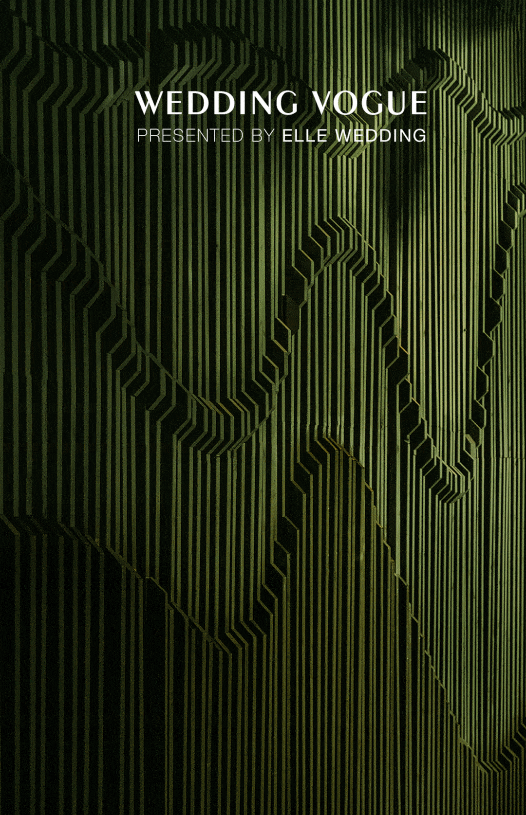 植物画,与整个场景做呼应,植物铺满顶部,盏盏明灯吊在空中,像点点萤火