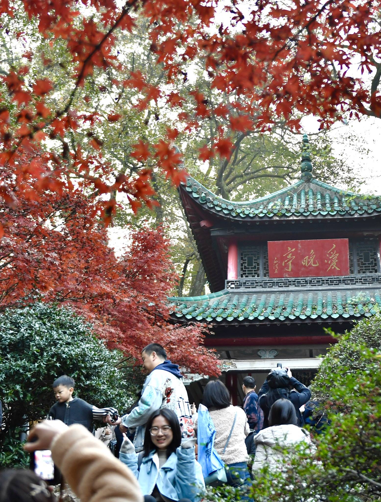 岳麓山迎来一年里最美“枫”景，快来打卡吧！