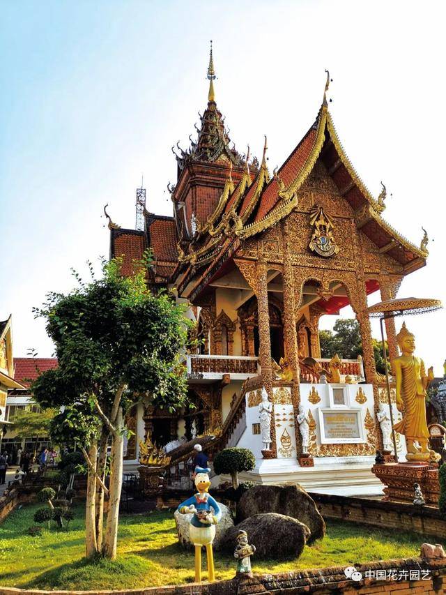 泰国清迈寺庙园林 | 环球