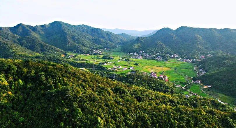 白箬铺镇:党建引领 打造乡村振兴示范样板