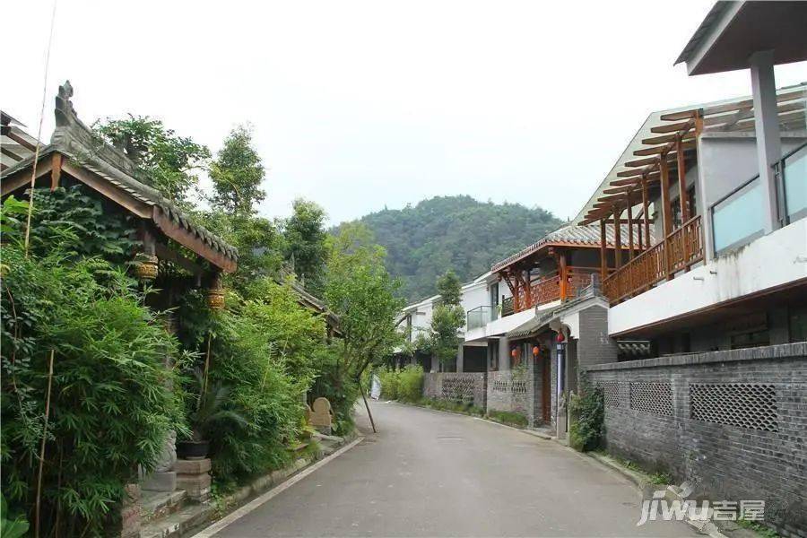10,成都大邑"幸福公社"