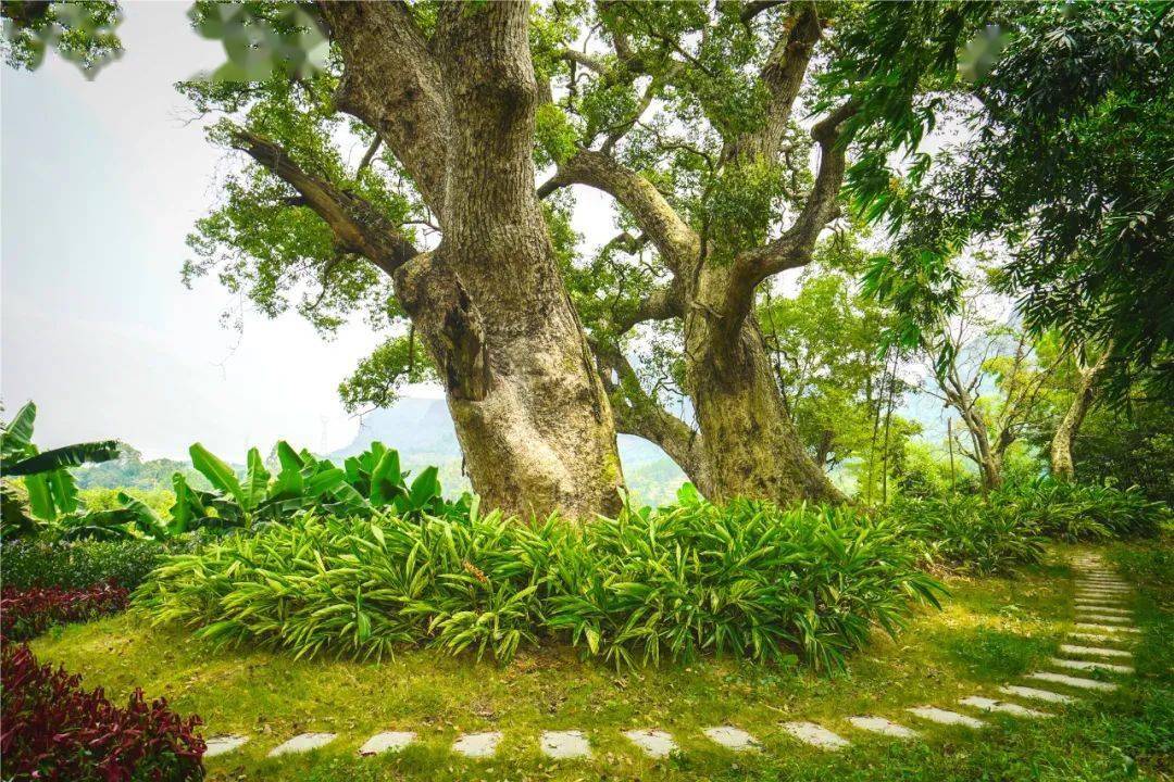 神机妙算刘伯温传说曲谱(2)