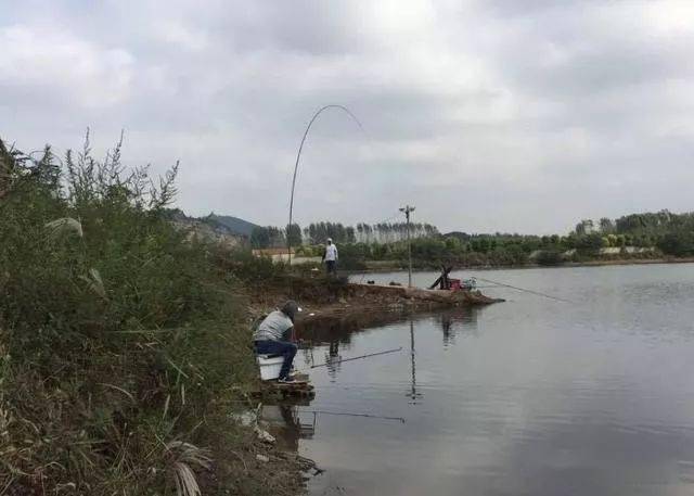 冬天怎么钓鲫鱼野河 925edc1982054f6ca5b2461516ecf12e.jpeg