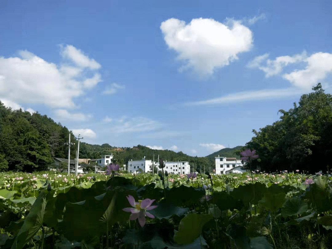 赤土畲族乡获"江西省省级生态乡(镇"荣誉称号!