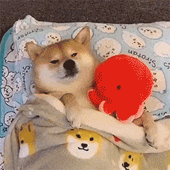 不用  在看,就算不  转发分享也不看?