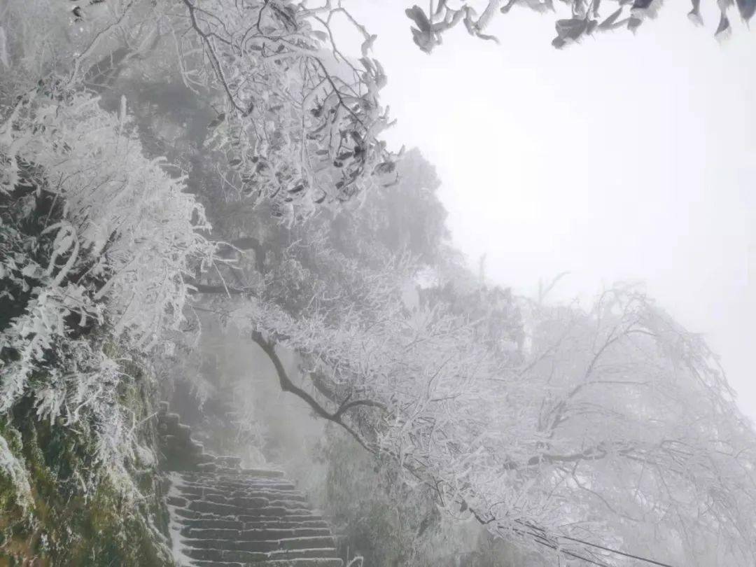 雪落雾中山