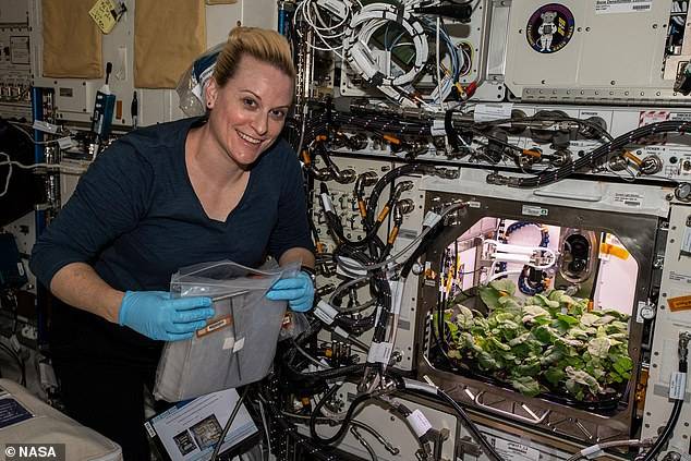 国际空间站首次成功种植萝卜，全自动高科技提供作物最佳护理