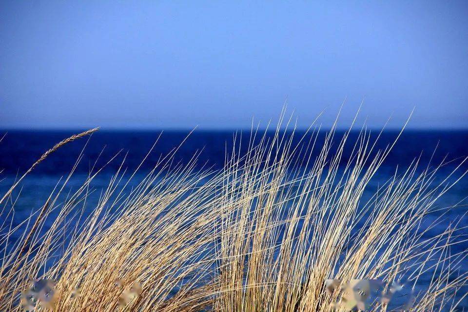 寻草记人去楼空涉嫌非法传销 背景竟是新三板上