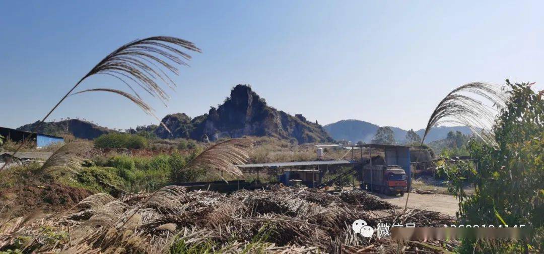 玉林山背人口_玉林佛子山风景图片(2)