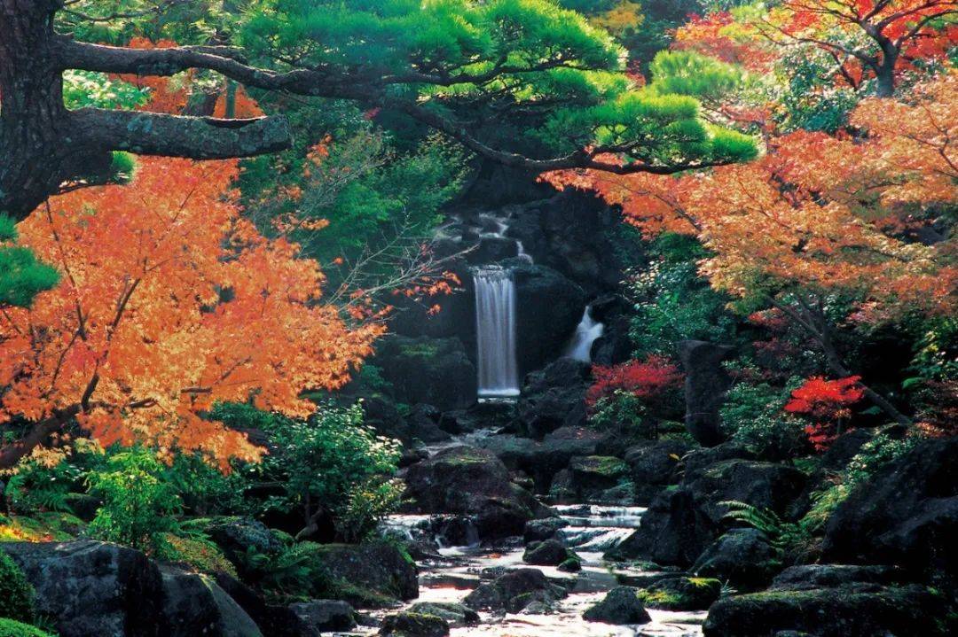【庭院】日本山阴地区三座优美庭园_池泉