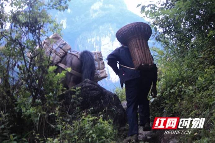 “湖南屋脊”送书人：知识改变山村，阅读点亮心灯