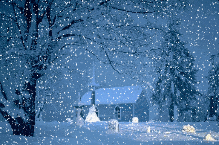 今日大雪,最暖的祝福送给您,祝您冬日安康!