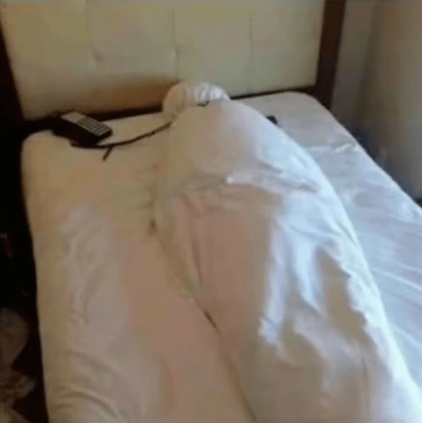 "网友给我发来了他的痔疮照片?哈哈哈我真的要吐了!