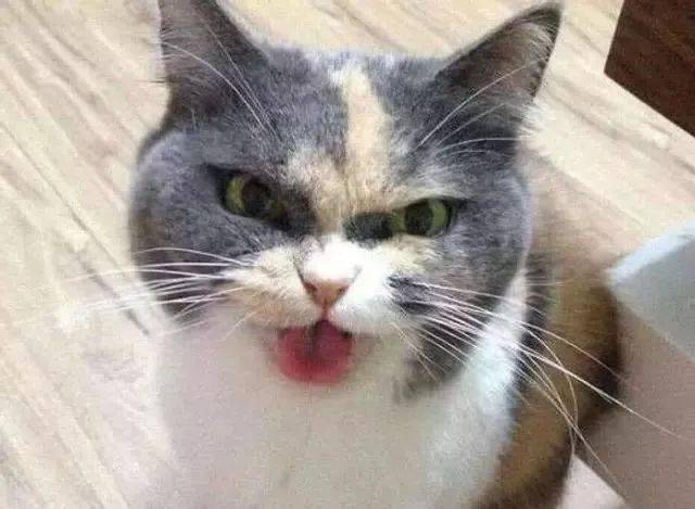 5fe67fa0c2024eef85e21664b038b9c1.jpeg