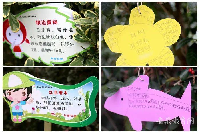 【区县动态】颍上县青少年活动中心开展植物挂牌活动