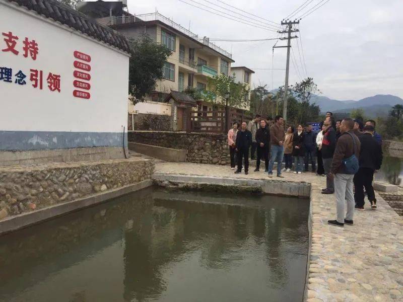 【圆梦建设进行时】武夷山市委党校科级干部进修班到黎前村调研【黎前