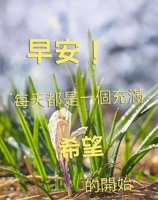 最新版非常漂亮的早上好表情图片 温馨早安心语语录