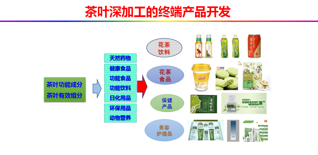 刘仲华院士拯救肥宅中国茶叶深加工发展趋势